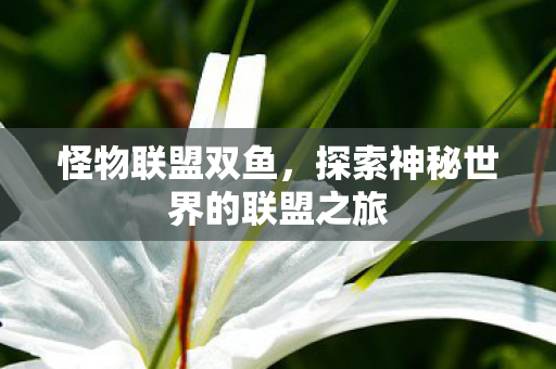 探索神秘世界的联盟之旅图片