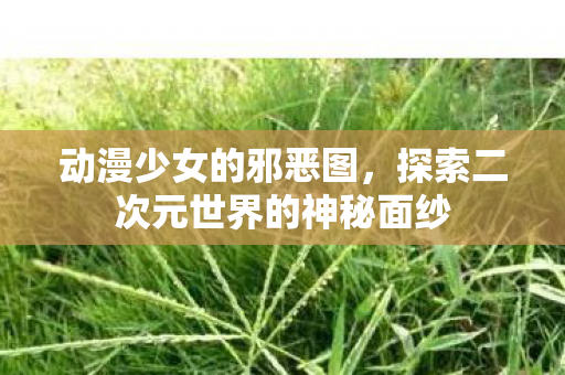 探索二次元世界的神秘面纱图片