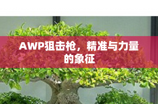 精准与力量的象征图片