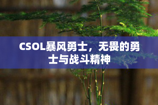 无畏的勇士与战斗精神图片