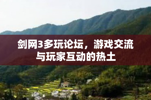 游戏交流与玩家互动的热土图片