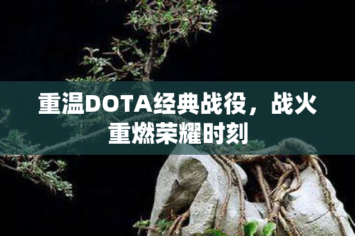 重温DOTA经典战役图片