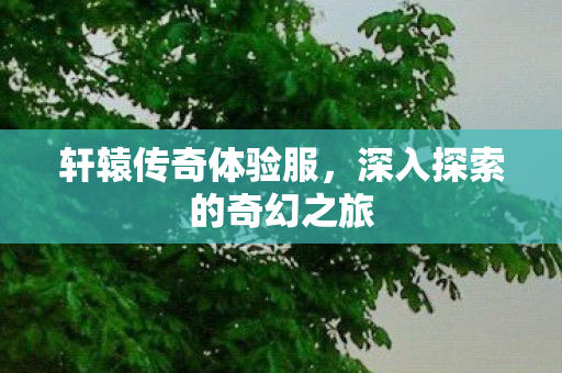 深入探索的奇幻之旅图片