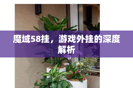 游戏外挂的深度解析图片