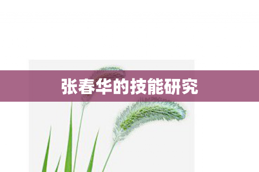 张春华的技能研究图片