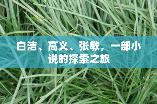 一部小说的探索之旅图片