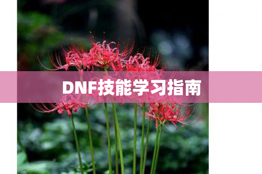 DNF技能学习指南图片