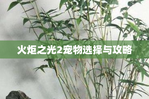 火炬之光2宠物选择与攻略图片