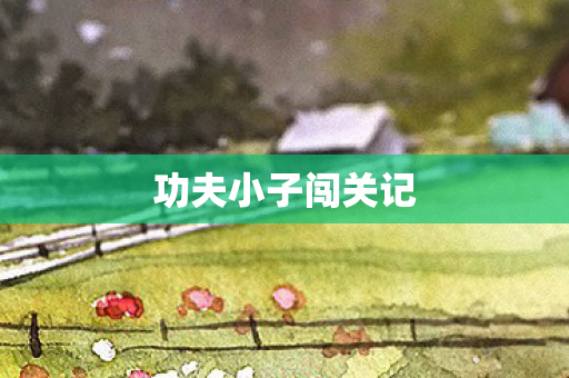 功夫小子闯关记图片