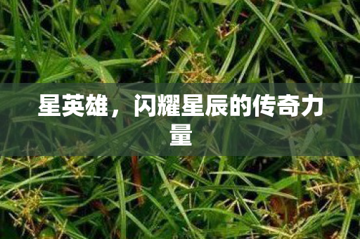 闪耀星辰的传奇力量图片