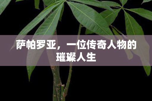 一位传奇人物的璀璨人生图片