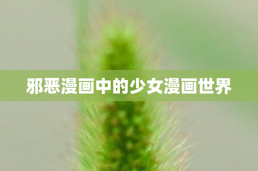 邪恶漫画中的少女漫画世界图片
