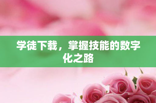 掌握技能的数字化之路图片