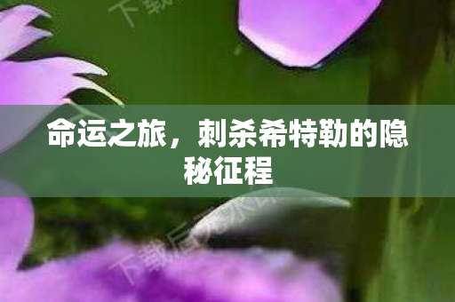 刺杀希特勒的隐秘征程图片