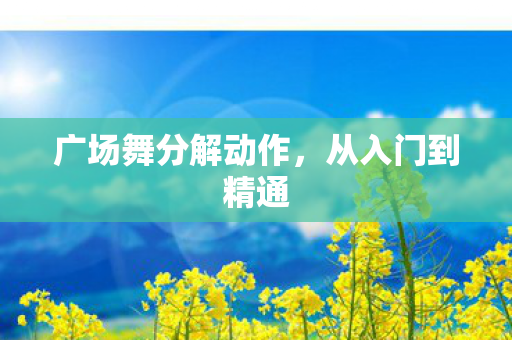 广场舞分解动作图片