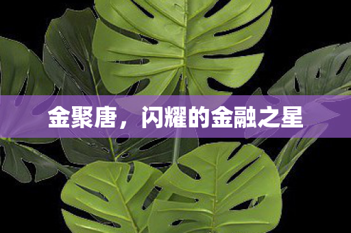 闪耀的金融之星图片