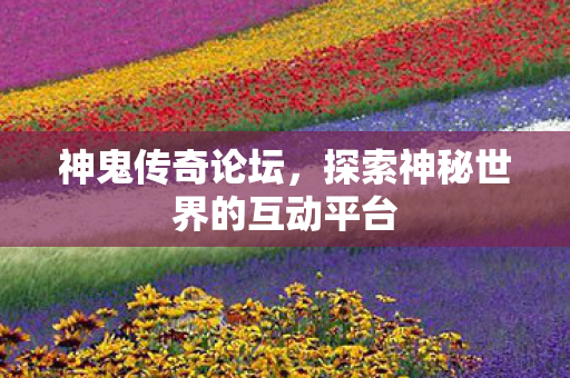探索神秘世界的互动平台图片