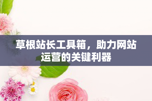 助力网站运营的关键利器图片