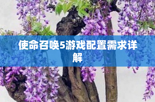 使命召唤5游戏配置需求详解图片