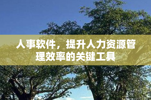 提升人力资源管理效率的关键工具图片