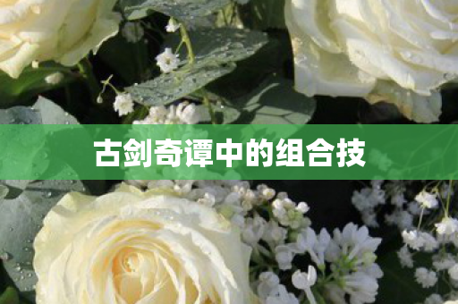 古剑奇谭中的组合技图片