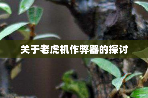关于老虎机作弊器的探讨图片