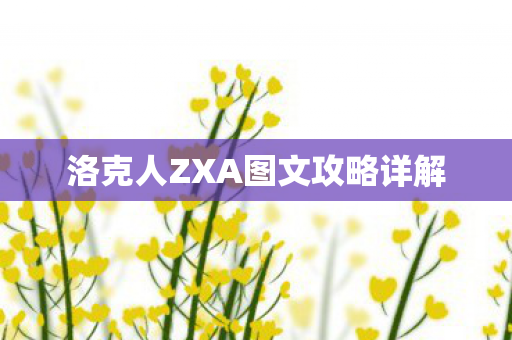 洛克人ZXA图文攻略详解图片