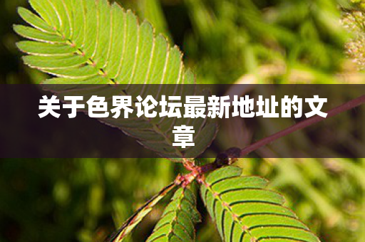 关于色界论坛最新地址的文章图片