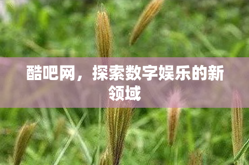 探索数字娱乐的新领域图片