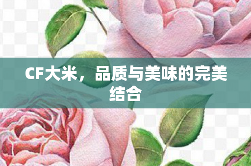 品质与美味的完美结合图片