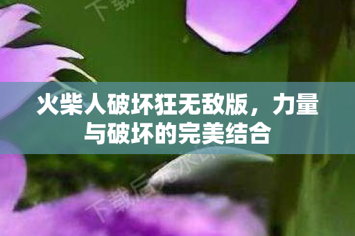 力量与破坏的完美结合图片