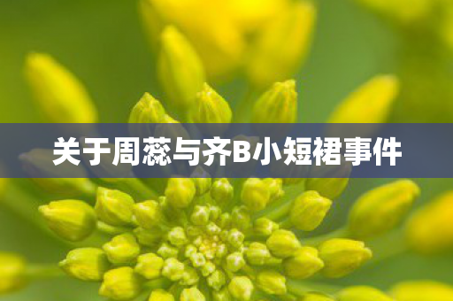 关于周蕊与齐B小短裙事件图片