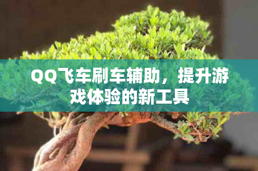 提升游戏体验的新工具图片