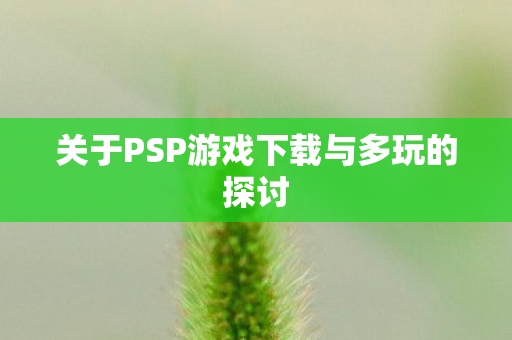 关于PSP游戏下载与多玩的探讨图片
