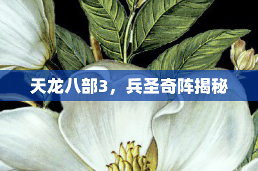 兵圣奇阵揭秘图片