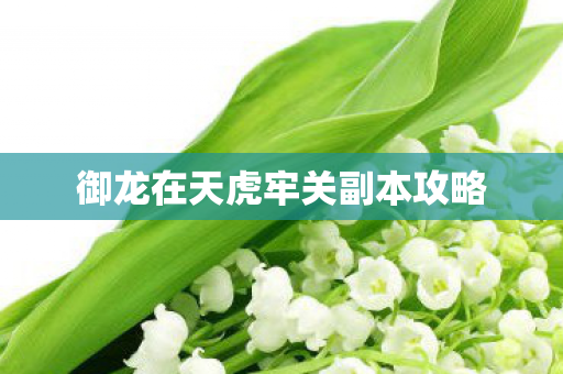 御龙在天虎牢关副本攻略图片