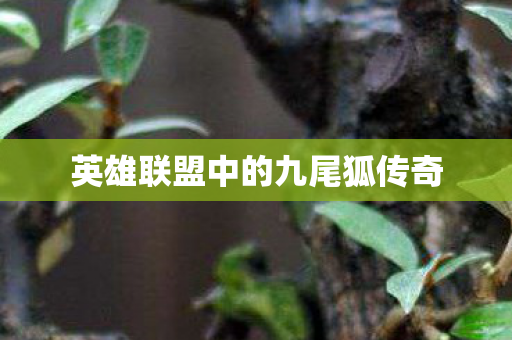 英雄联盟中的九尾狐传奇图片