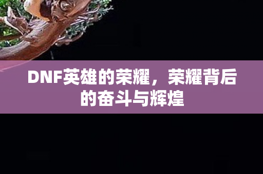 荣耀背后的奋斗与辉煌图片