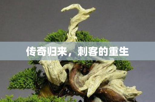 刺客的重生图片