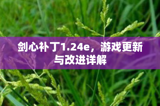 游戏更新与改进详解图片