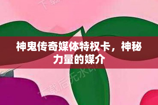 神鬼传奇媒体特权卡图片