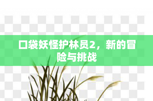 口袋妖怪护林员2图片