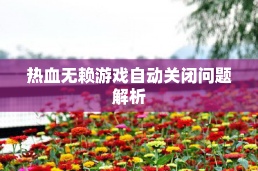 热血无赖游戏自动关闭问题解析图片