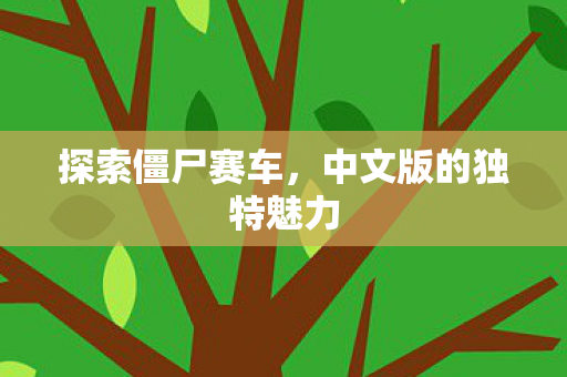 中文版的独特魅力图片