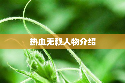 热血无赖人物介绍图片