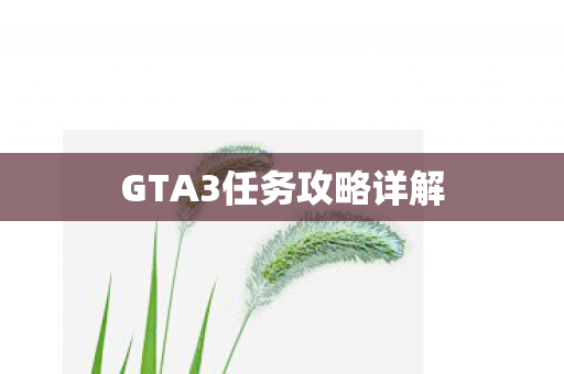 GTA3任务攻略详解图片