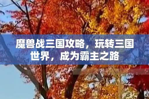 魔兽战三国攻略图片
