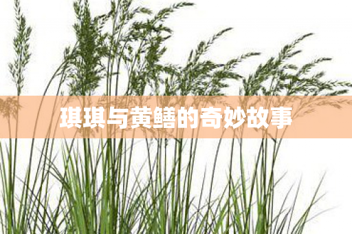 琪琪与黄鳝的奇妙故事图片