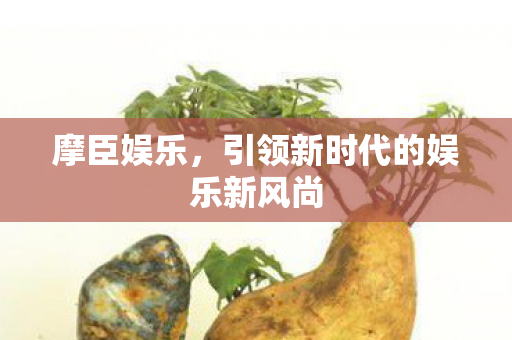 引领新时代的娱乐新风尚图片