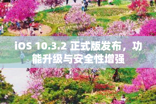 功能升级与安全性增强图片
